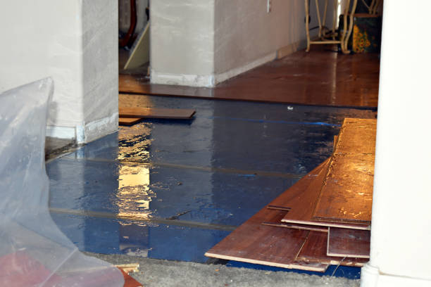 Professional Burst Pipe Cleanup technician working in McKittrick, CA