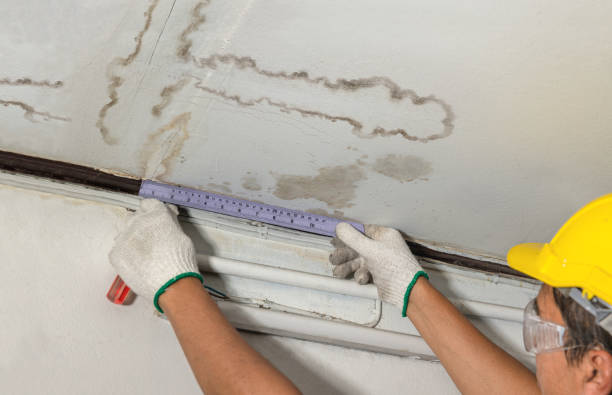 Reliable Burst Pipe Cleanup contractor in McKittrick, CA by Water Damage Irwin